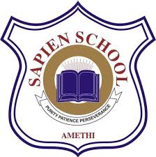 Sapien Day Boarding School Company logo